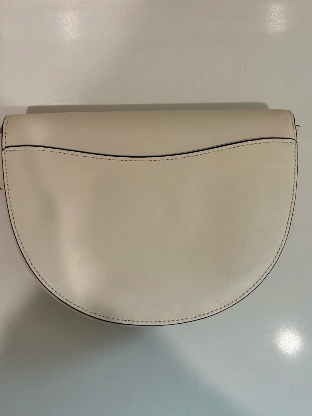 Coach Ellen Daisy Embroidered Leather Crossbody Bag Chalk C2863t